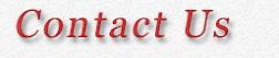 Contact Us Button